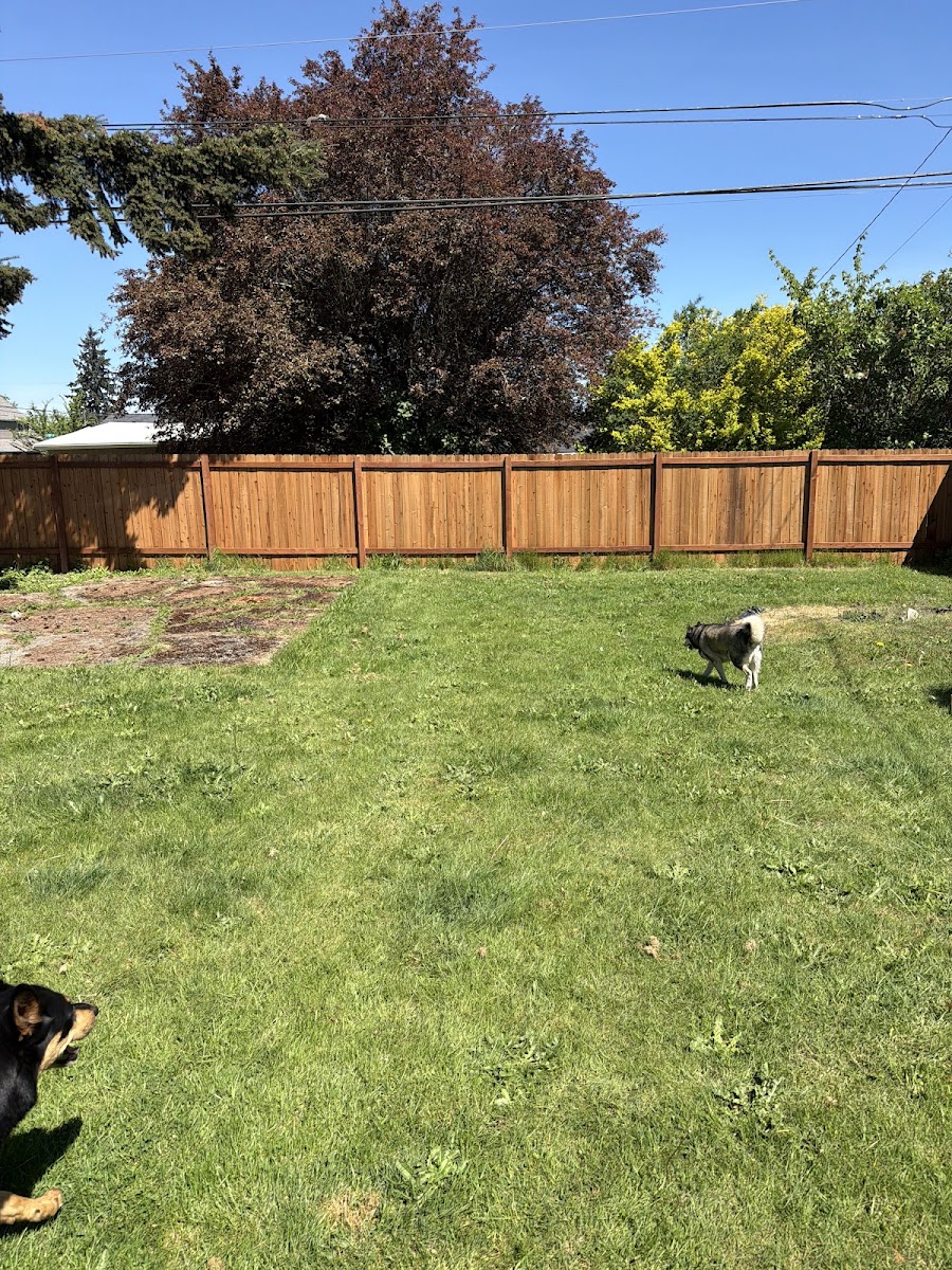 Yard work