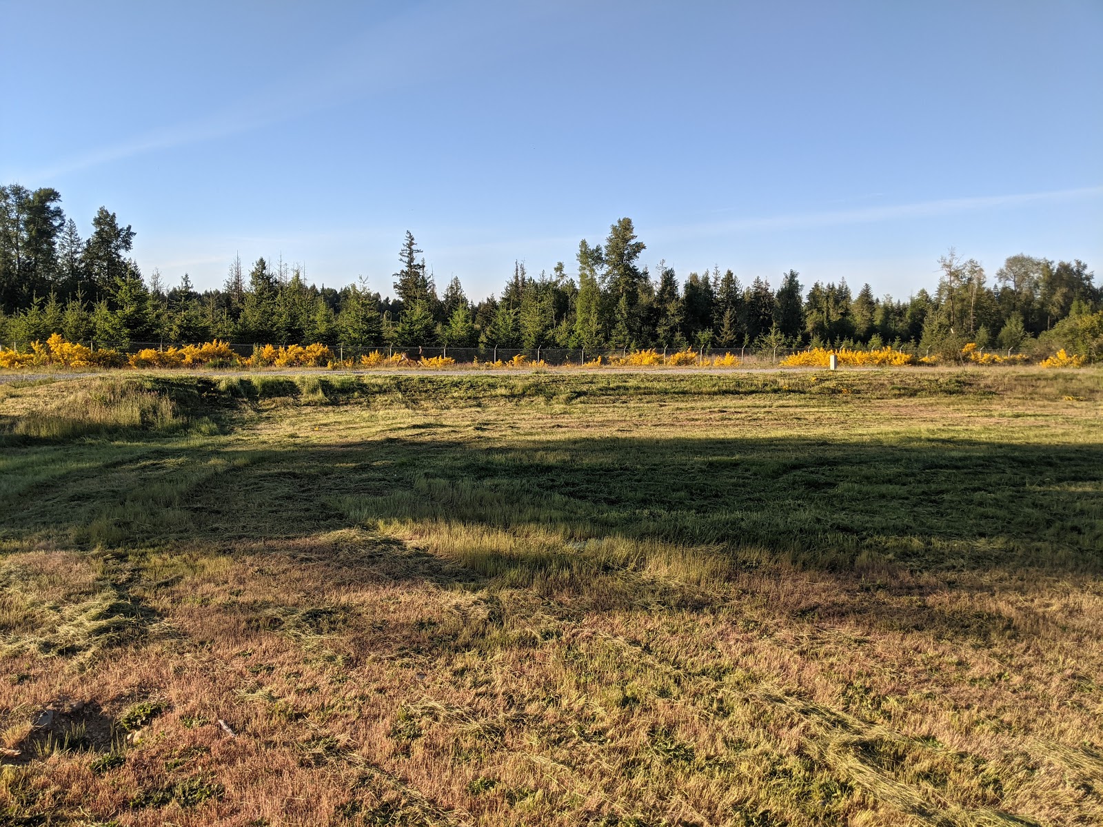 Lawn care result